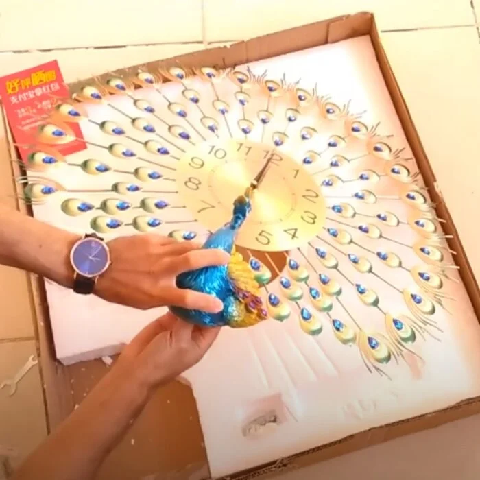 lắp đồng hồ con công