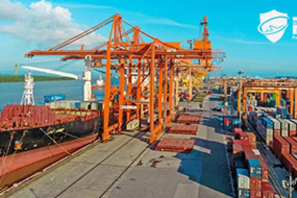 Use of SPMT transporting Cranes at Tan Vu Port