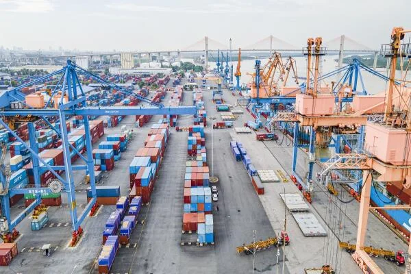 Vận tải biển duy trì tăng trưởng ấn tượng dù giá cước vẫn ở mức cao