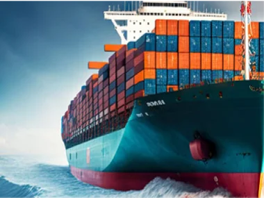 Ngành logistics Việt Nam đang đứng đâu trên bản đồ thế giới? 4