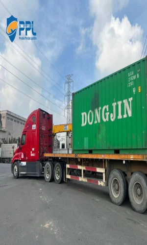 du-an-formosa-nhon-trach-1-1