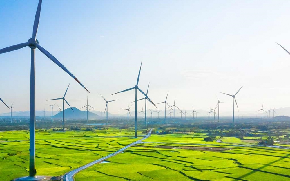 EVN kiến nghị cho phép các dự án điện gió, điện mặt trời chuyển tiếp tham gia thị trường điện