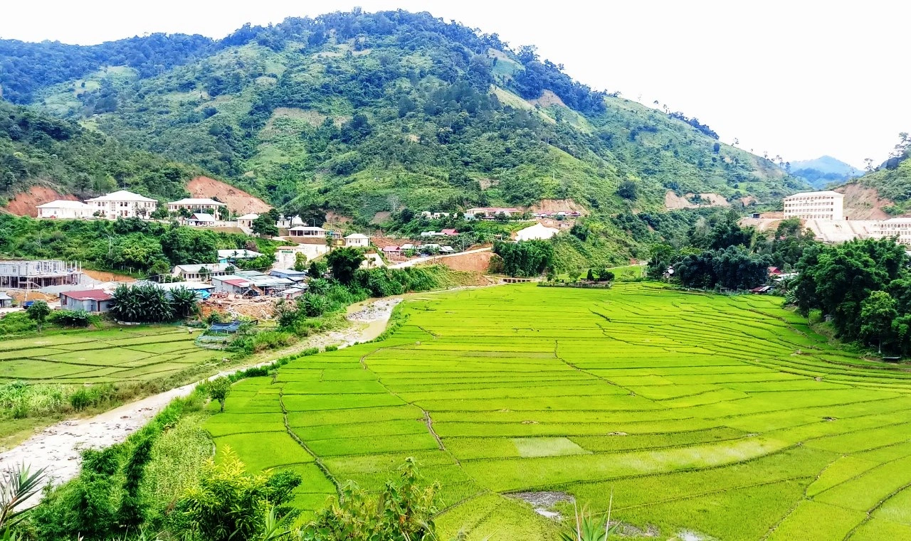 Quảng Nam đề xuất xin được tiếp nhận dự án điện gió công suất 500MW