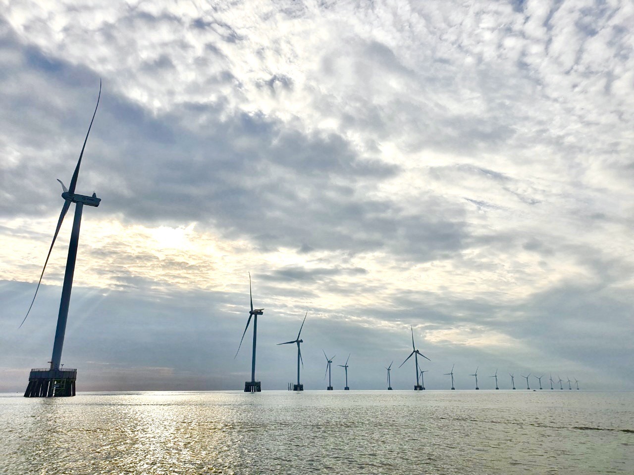 Cà Mau - Khánh thành Nhà máy điện gió Tân Thuận