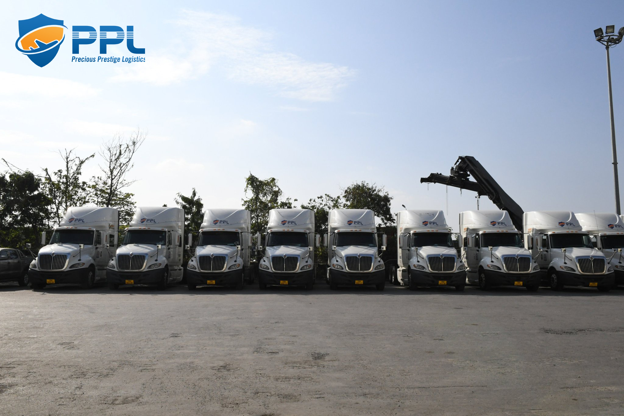 463921a4613c9f62c62d