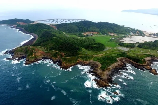 Quảng Ninh muốn thu hút “sếu đầu đàn” để phát triển năng lượng xanh