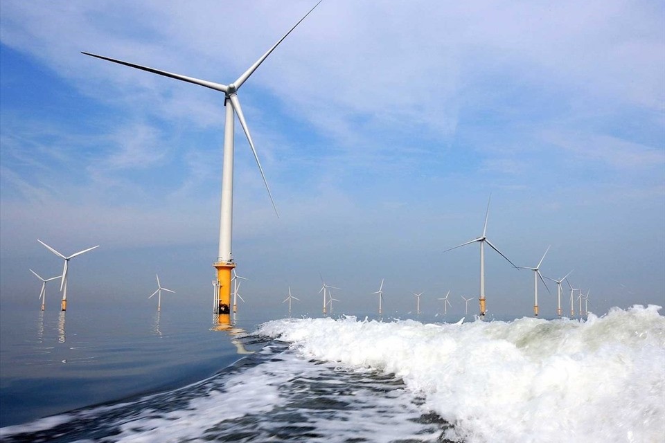 Đăng ký gấp 25,8 lần dự thảo - Ai sẽ được lựa chọn để phát triển điện gió ngoài khơi?