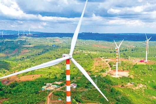 Lách luật, làm tắt - Điện gió từ hào hứng đến thất vọng