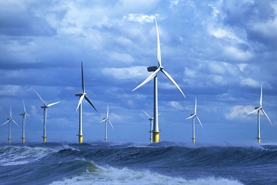 Điện gió Việt Nam thu hút Đan Mạch