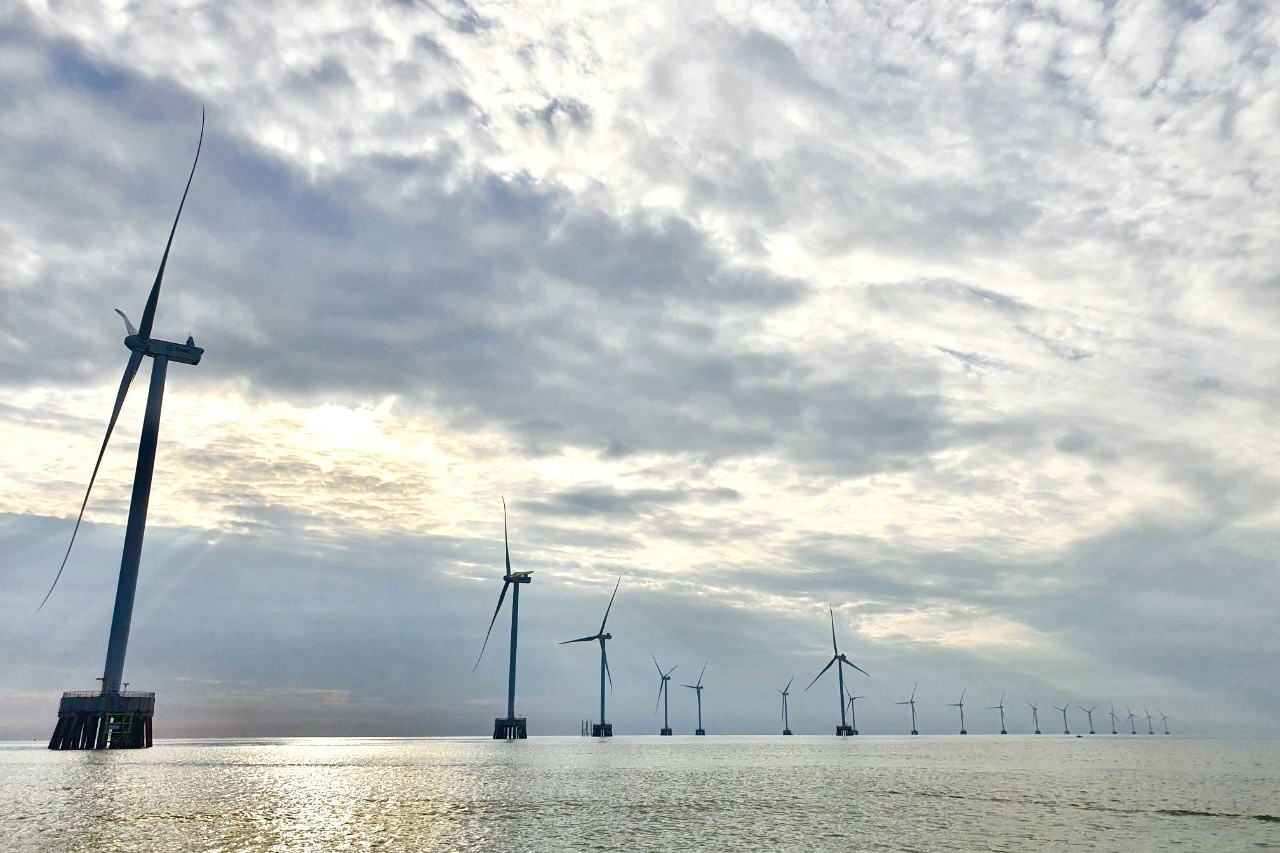 Cà Mau - Khánh thành Nhà máy điện gió Tân Thuận