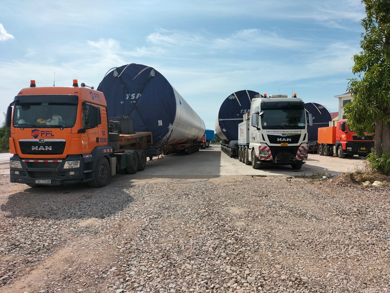 dau-keo-man-vang-trang