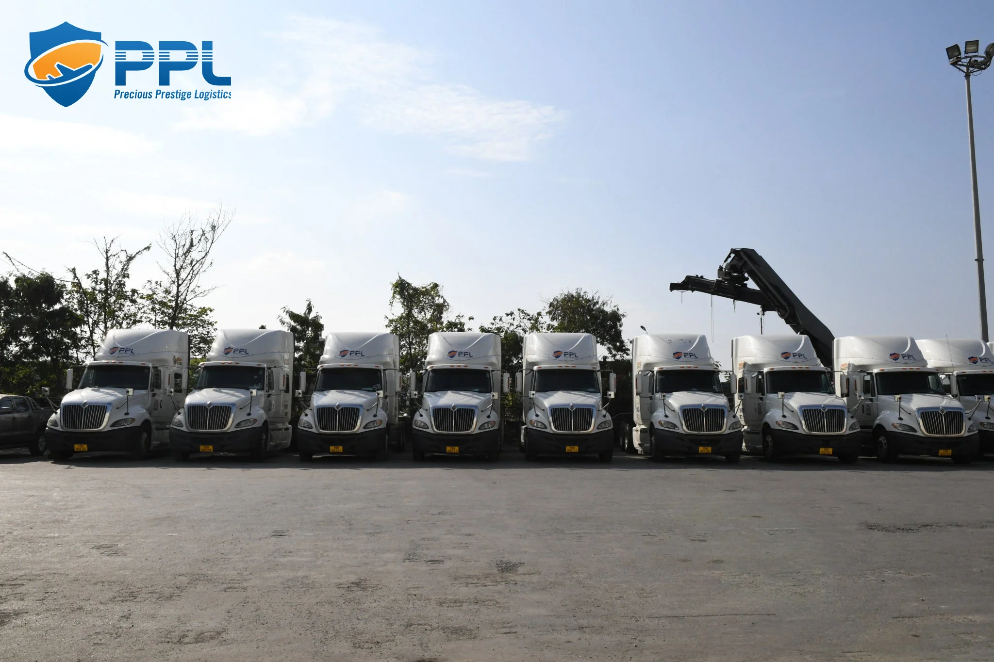 463921a4613c9f62c62d