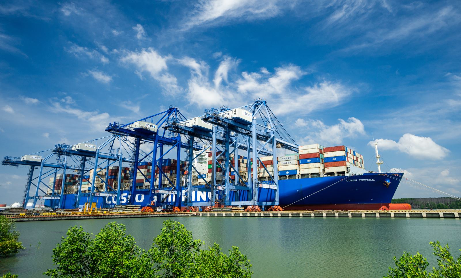 Bà Rịa - Vũng Tàu: Nhanh chóng hoàn thiện hệ sinh thái logistics cho Cái Mép - Thị Vải