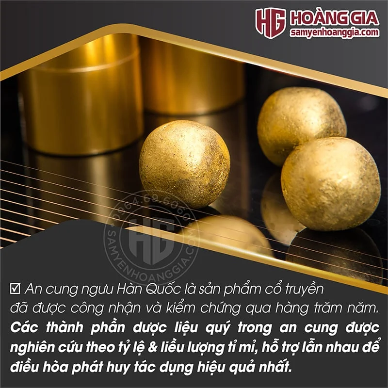 AN CUNG NGƯU HOÀNG HOÀN