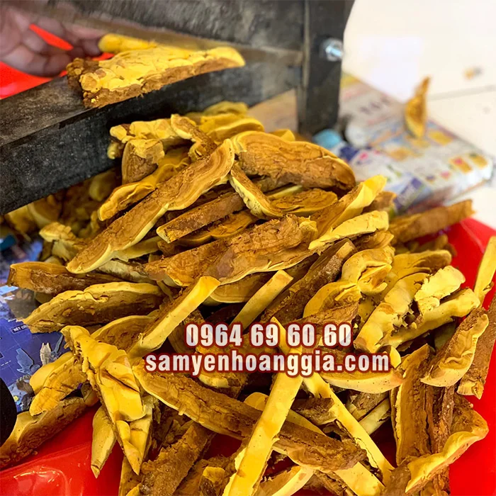 ay-nam-linh-chi-thuong-hoang-han-quoc-loai-tot-500g-samyenhoanggia1_1__3b101ae245f94668af2c42b307736cf7