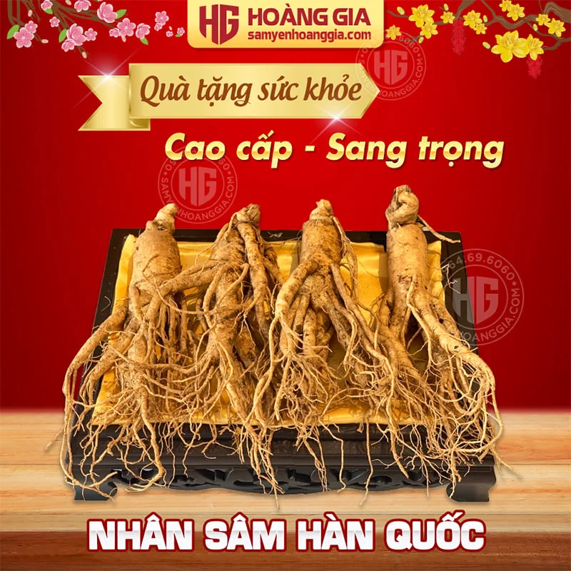 NHÂN SÂM TƯƠI HÀN QUỐC