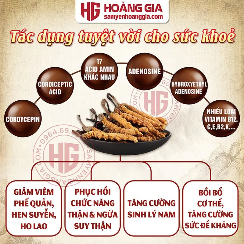 bai_viet_dong_trung_ha_thao_tay_tang_-_hoang_gia-01_29e696a38feb47a298c68748d41072d0