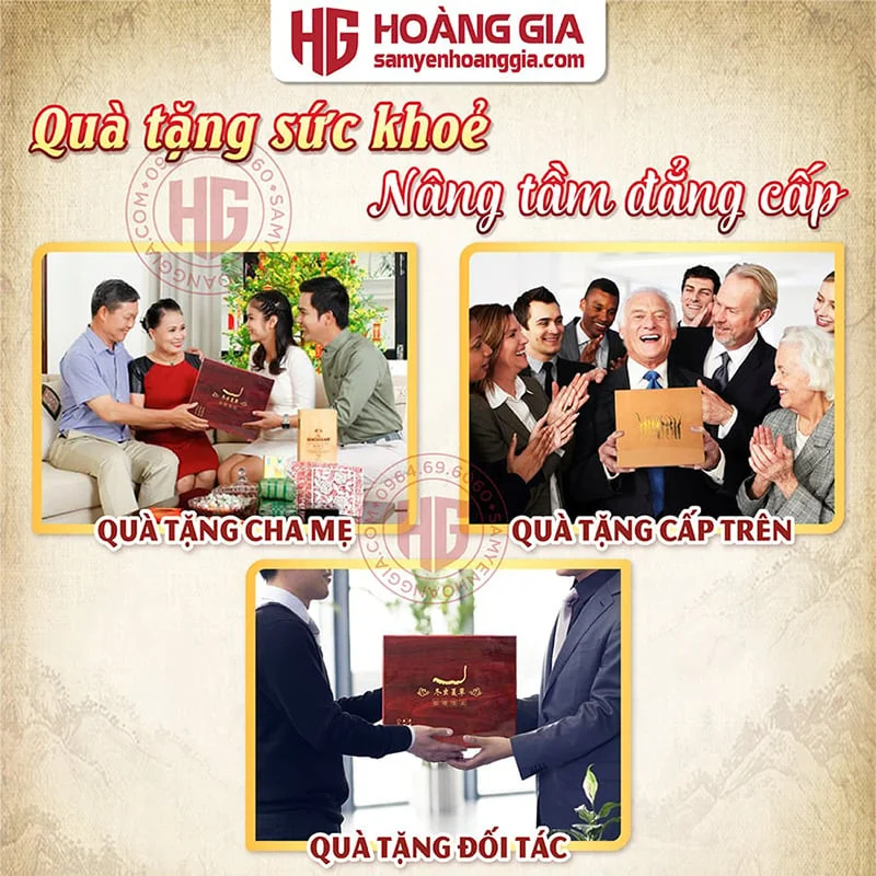 bai_viet_dong_trung_ha_thao_tay_tang_-_hoang_gia-03_bc2f1cba75284cbf8e125a283ede6fb8