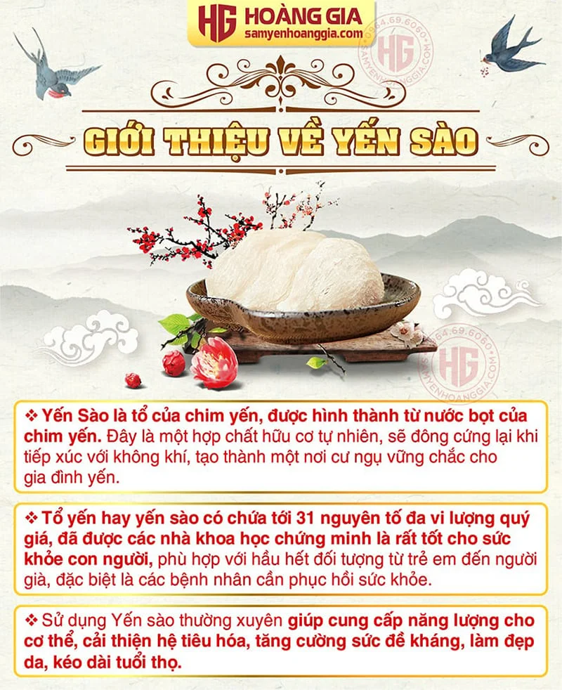 bai_viet_gioi_thieu___cong_dung_yen_sao_-_hoang_gia-01_49b76a3005e140c5b80f3c4da8a66d52