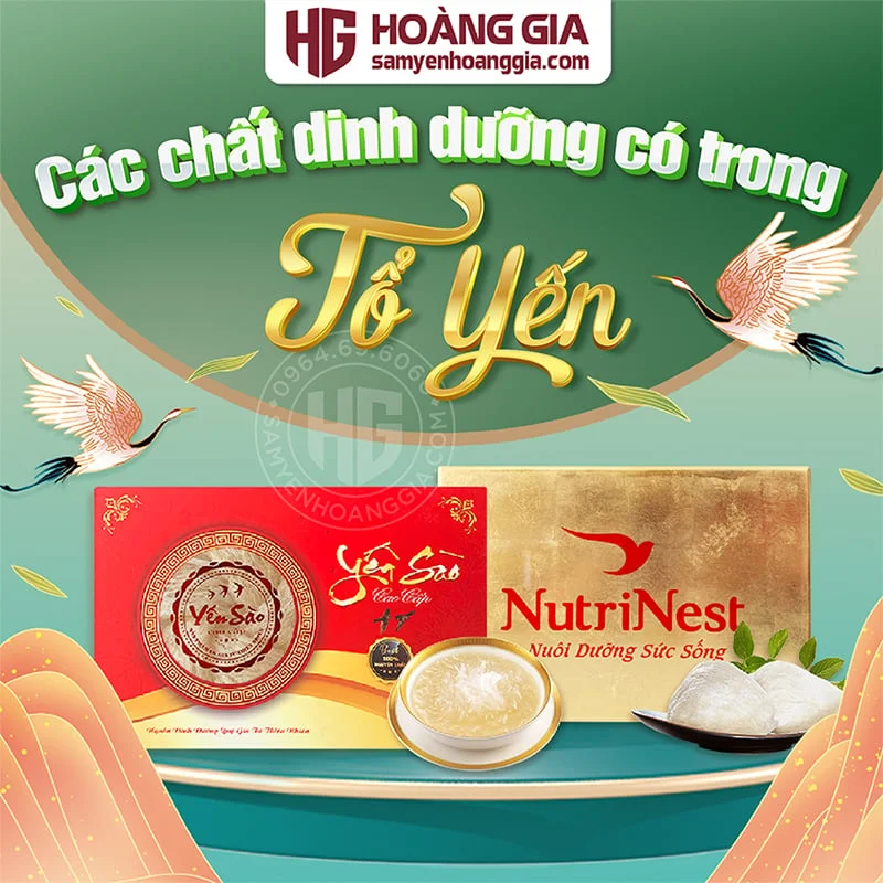 YẾN SÀO NGUYÊN TỔ