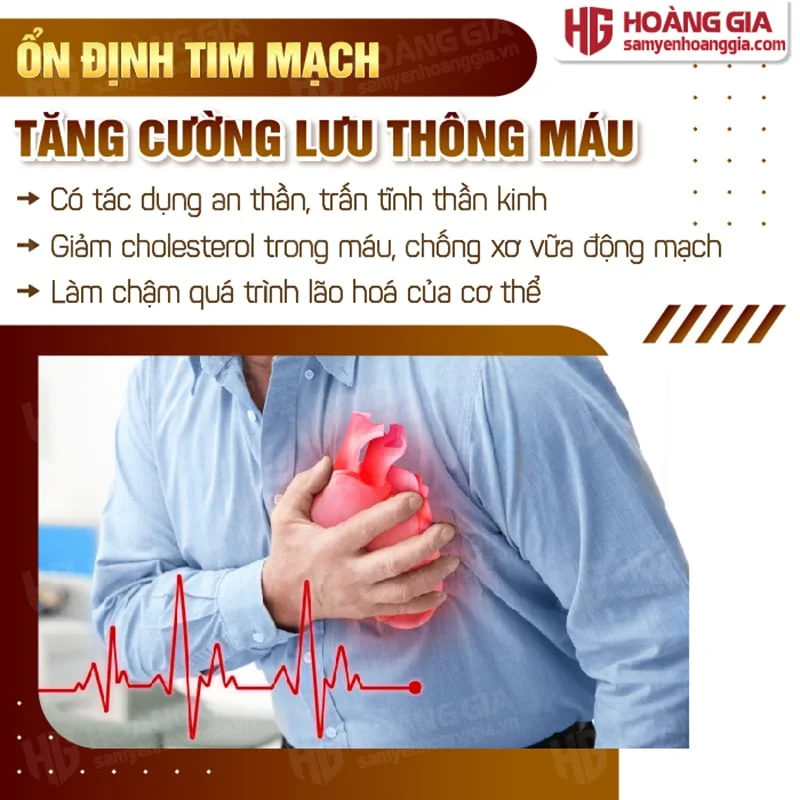 cao_dong_trung_ha_thao-03_c7231e6bbf2b40939ba58e8c4cd300b3
