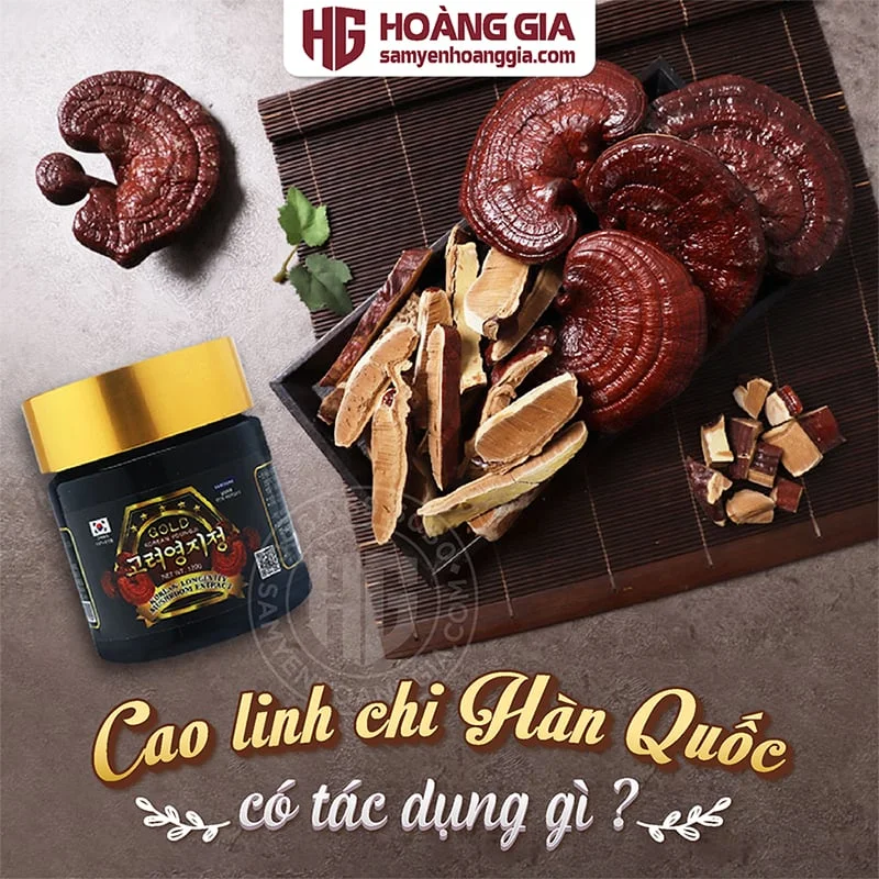 CAO LINH CHI HÀN QUỐC