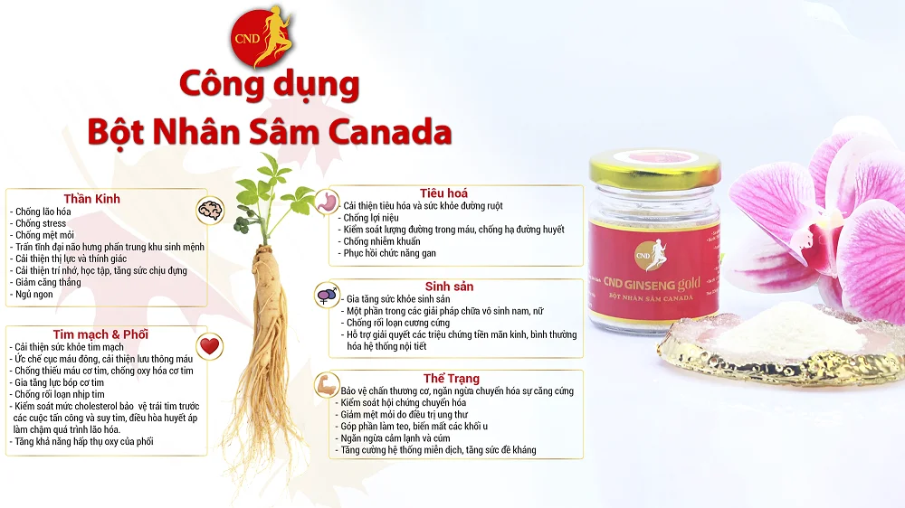 Bột nhân sâm canada hộp 2 lọ 25g