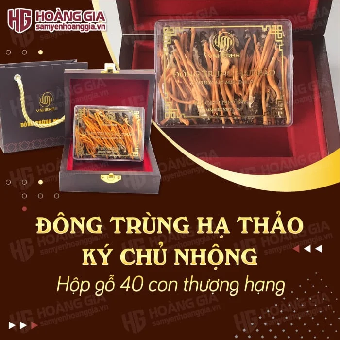 dtht-soi-kho-40-con-01png_b743e5d0c4d34b0aa601241e025d5ad4