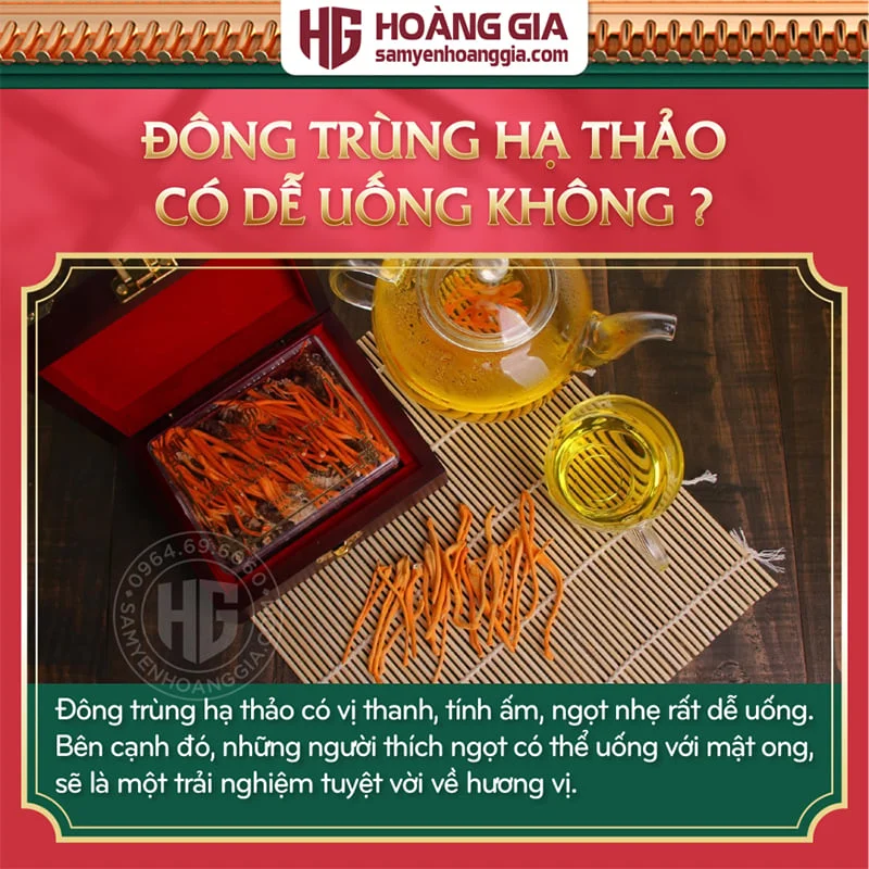 Đông Trùng Hạ Thảo Việt Nam