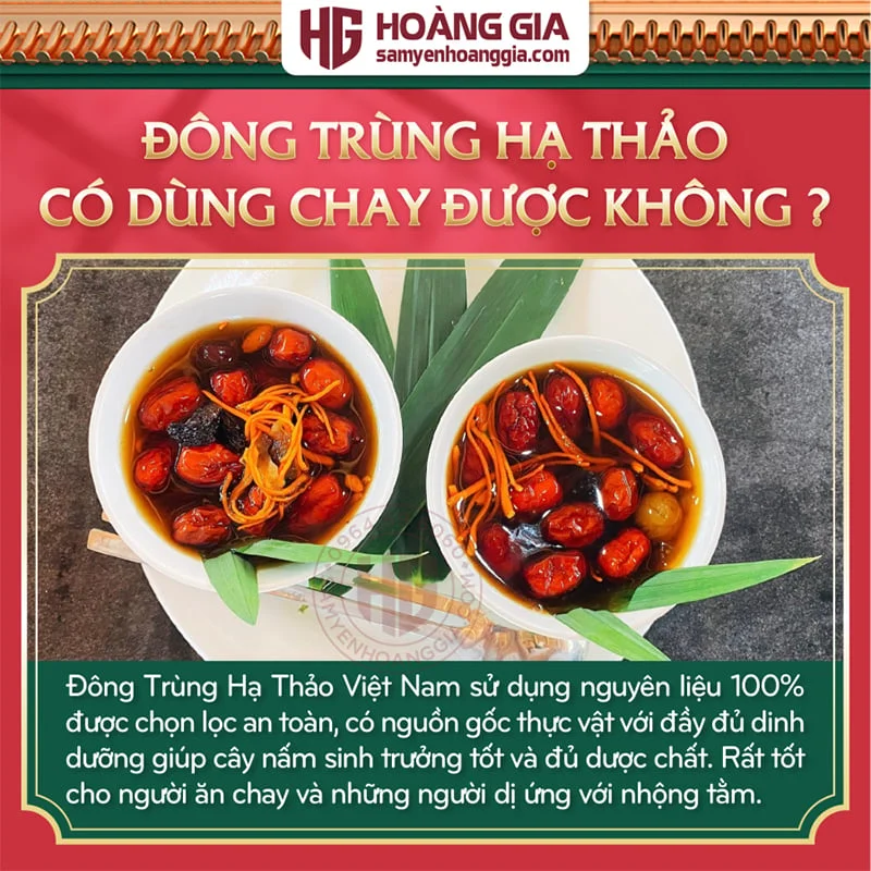dtht_vn_co_mac_khong_-_hoang_gia-04_8d6dfab3d5ca49129390a70a42d11920