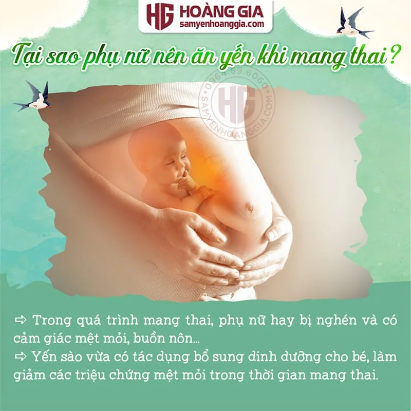 YẾN SÀO NGUYÊN TỔ