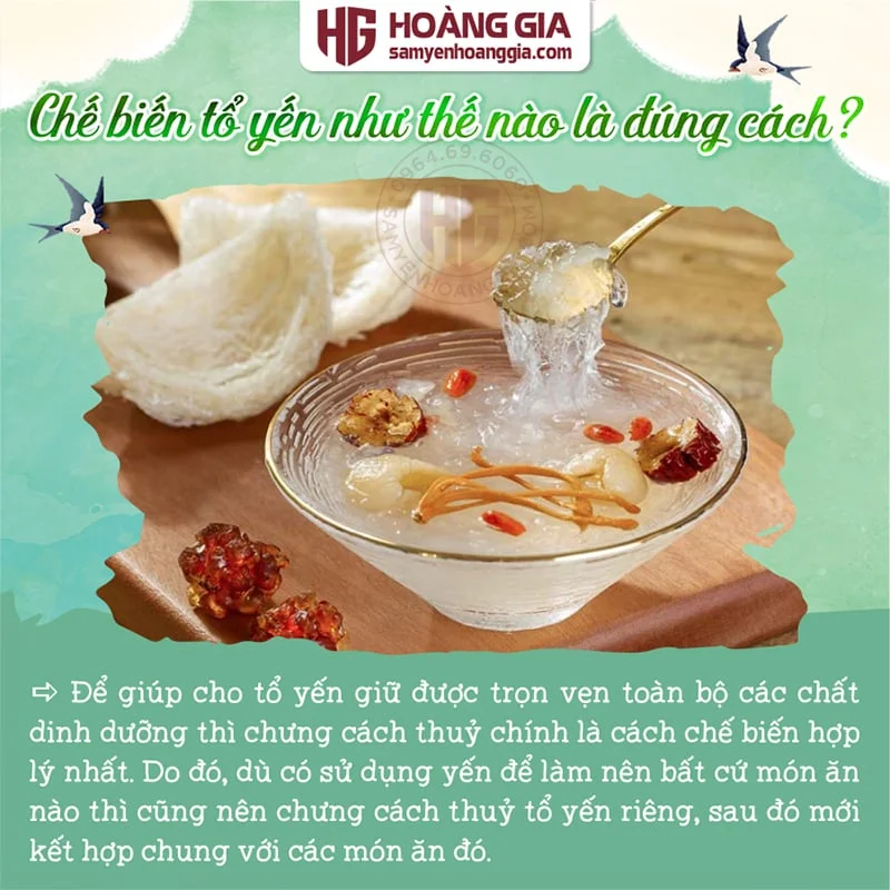 YẾN SÀO NGUYÊN TỔ