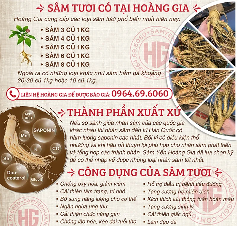 NHÂN SÂM TƯƠI HÀN QUỐC