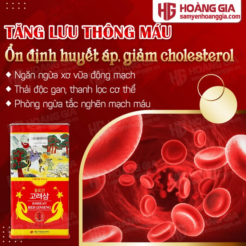 SÂM KHÔ HÀN QUỐC THƯỢNG HẠNG