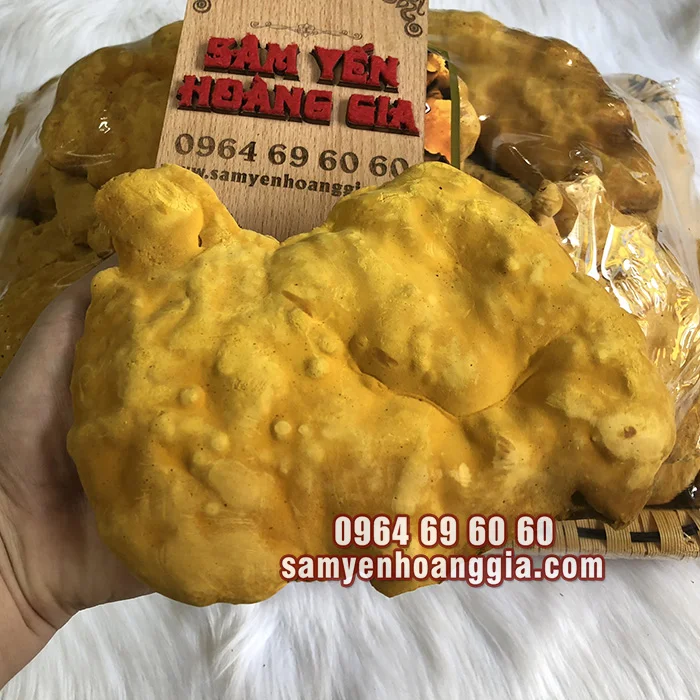 khay-nam-thuong-hoang-han-quoc-loai-tot-1kg-0964696060_1__7b862c6a775b4a2db2060eed45aac433