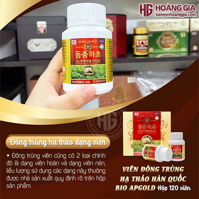 VIÊN ĐÔNG TRÙNG HẠ THẢO