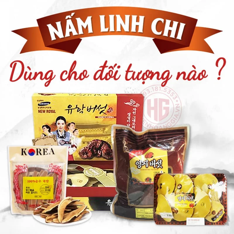 NẤM LINH CHI HÀN QUỐC