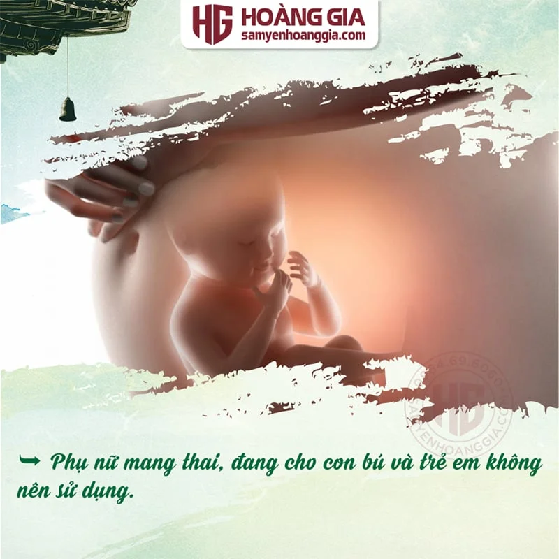 NẤM LIM XANH QUẢNG NAM