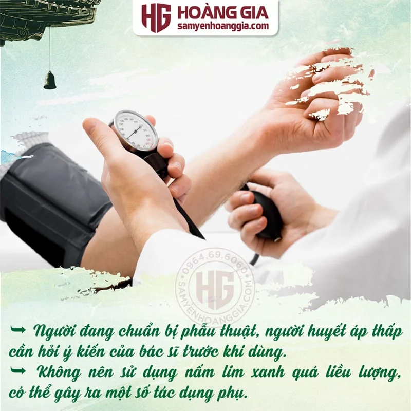 NẤM LIM XANH QUẢNG NAM