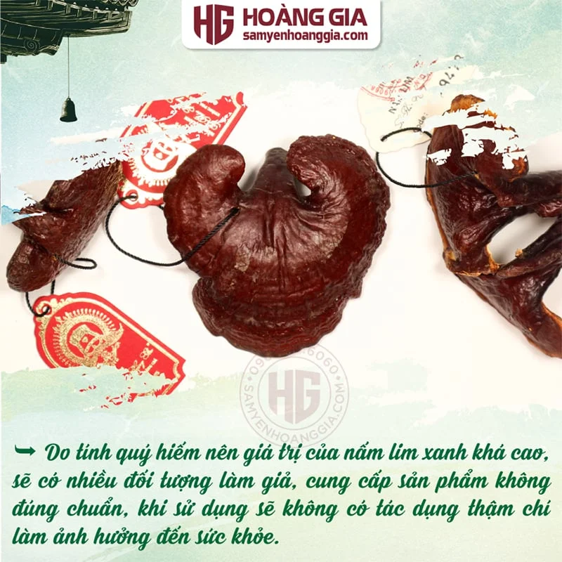 NẤM LIM XANH QUẢNG NAM