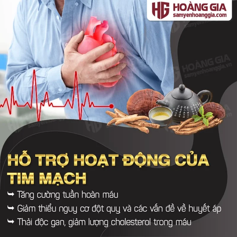Nước linh chi Hàn Quốc