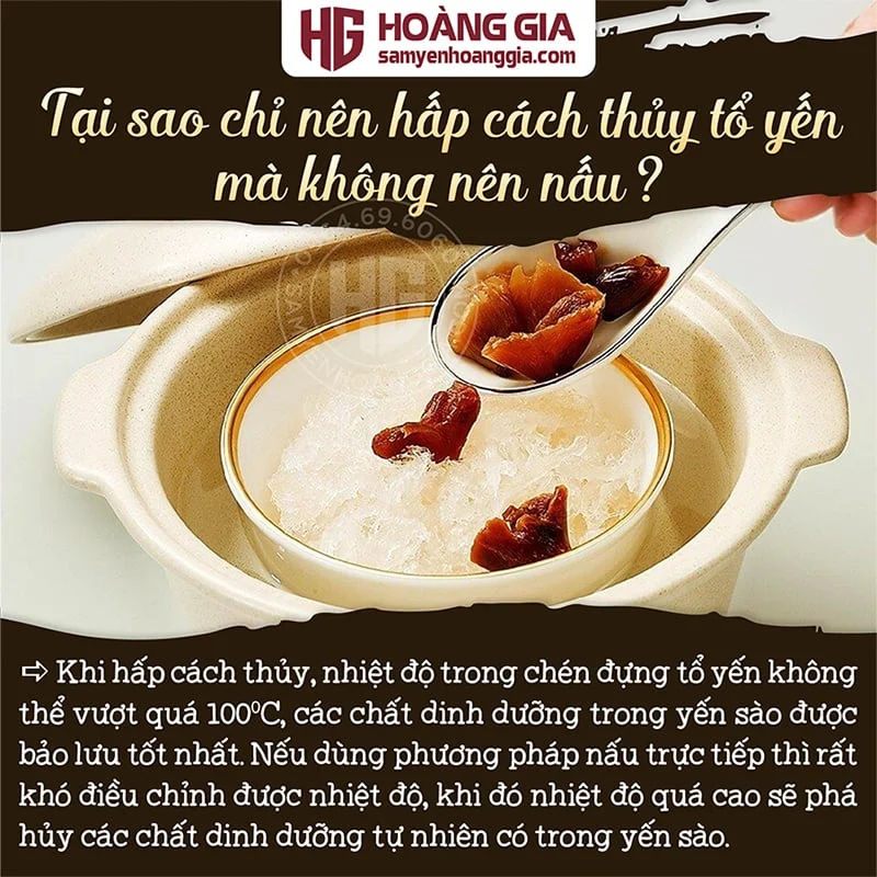 YẾN SÀO NGUYÊN TỔ