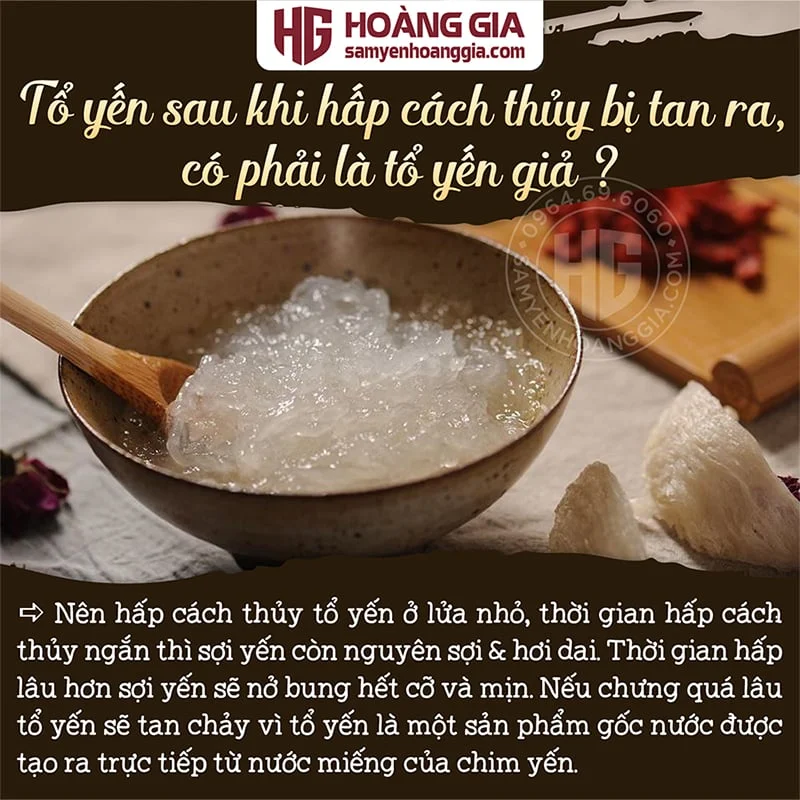 YẾN SÀO NGUYÊN TỔ