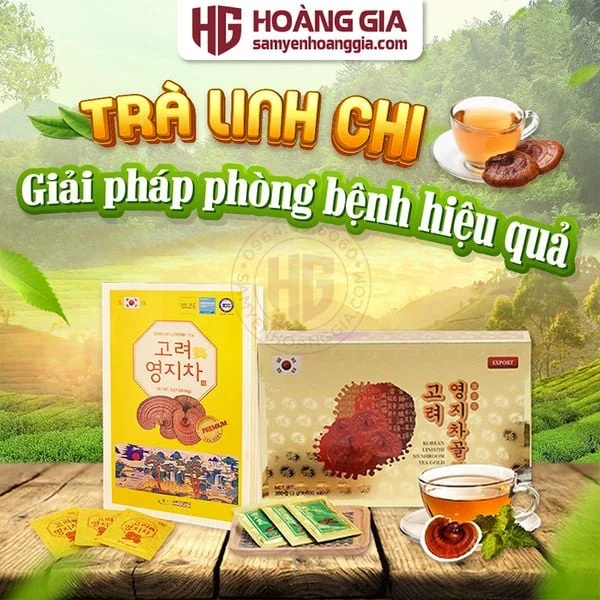 TRÀ LINH CHI HÀN QUỐC