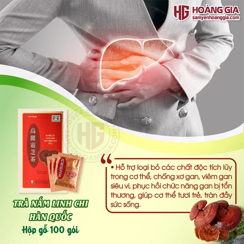 tra_linh_chi_phong_benh_hieu_qua-3_523610860d8f49b78dcaaaf13ab4f990