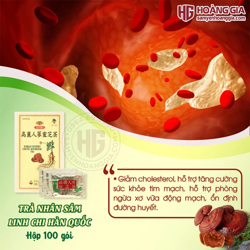 tra_linh_chi_phong_benh_hieu_qua-5_ece74973489b4801a5b3f0224da86b8f