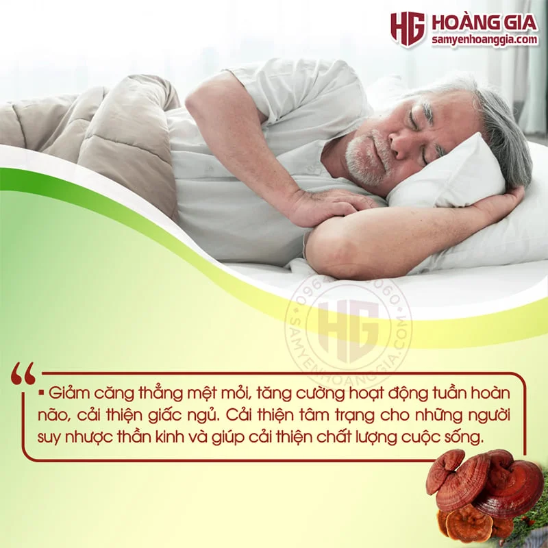 tra_linh_chi_phong_benh_hieu_qua-6_2487b2580a0c46e3a36b7071b91dcb6a
