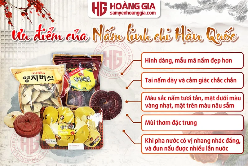 uu_diem_cua_nam_linh_chi_-_hoang_gia-01_ac1dd4e1a45341ccb8a2ccd9844830d4