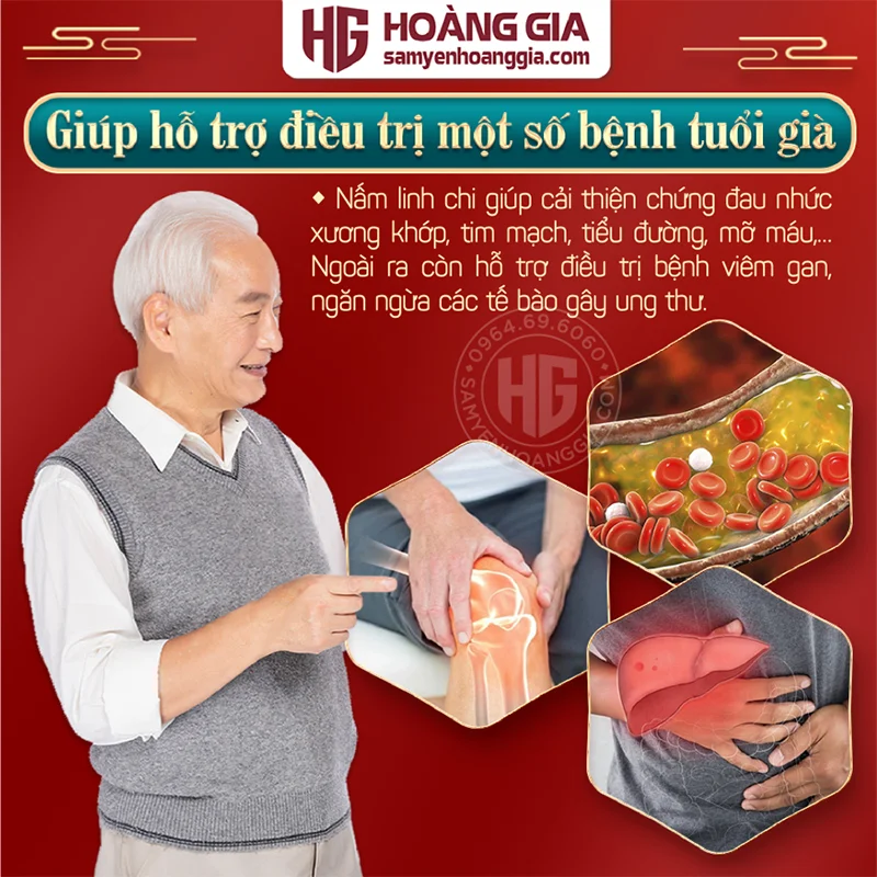 vi_sao_nen_chon_nam_linh_chi_-_hoang_gia-02_211c386ddc4a44bea6b073d701a3773b