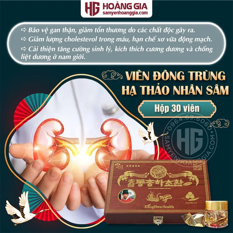 VIÊN ĐÔNG TRÙNG HẠ THẢO